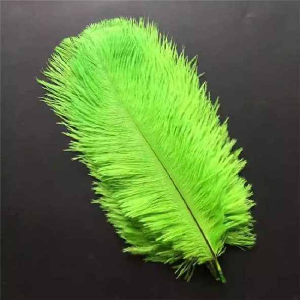 400 PCS DECOR VIP GREEN BIRD FEATHER 400 ADET YEŞİL KUŞ TÜYÜ YEŞİL ŞEFFAF BALON TÜYÜ SÜSLEME TÜYÜ ürün görseli