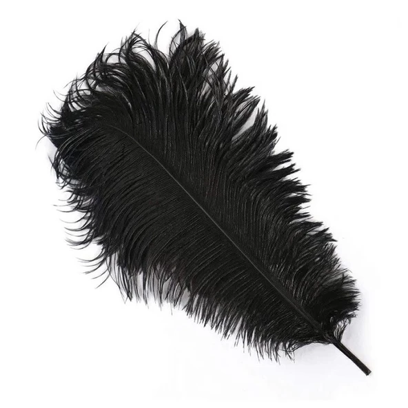 400 PCS DECOR VIP BLACK BIRD FEATHER 400 ADET SİYAH KUŞ TÜYÜ SİYAH ŞEFFAF BALON TÜYÜ SÜSLEME TÜYÜ ürün görseli