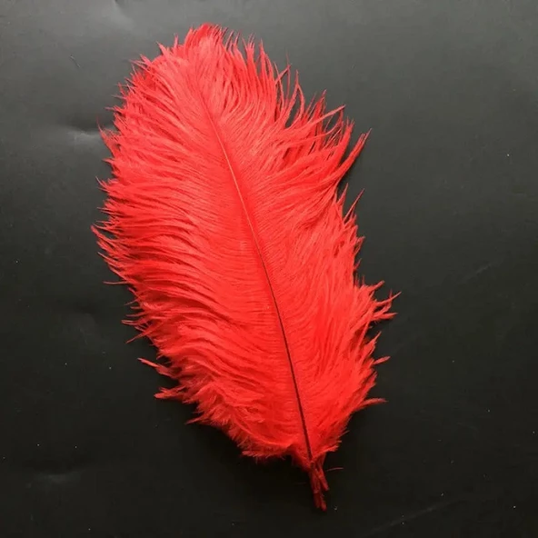 400 PCS DECOR RED BIRD FEATHER 400 ADET KIRMIZI KUŞ TÜYÜ KIRMIZI ŞEFFAF BALON TÜYÜ SÜSLEME TÜYÜ