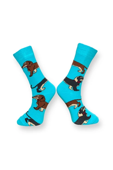 Me-vo 2'li Köpek Desenli Unisex Esnek Nem Alabilen Pamuklu Çok Renkli Soket Çoraplar - Resim 3