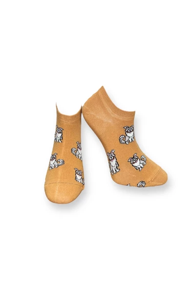 Me-vo 4'lü Çok Renkli Çok Desenli Unisex Esnek Nem Alabilen Pamuklu Patik Çoraplar - Resim 2