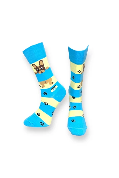 Me-vo 4'lü Köpek ve Pati Desenli Unisex Esnek Nem Alabilen Pamuklu Çok Renkli Soket Çoraplar - Resim 5