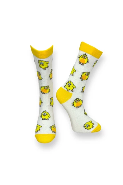 Me-vo 2'li Sevimli Civ civ Ve Ördek Desenli Unisex Esnek Nem Alabilen Pamuklu Çok Renkli Soket Çoraplar - Resim 2