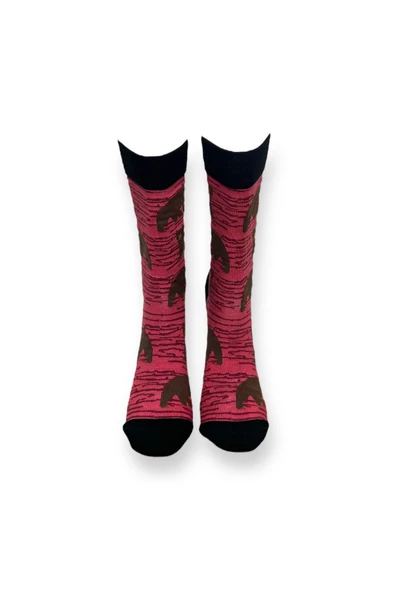 Me-vo 2'li Bordo - Mavi Renkli Unisex Esnek Nem Alabilen Pamuklu Hayvan Desenli Soket Çoraplar - Resim 7