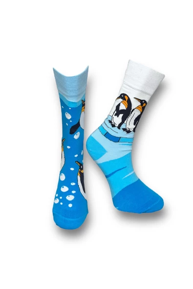 Me-vo 3'lü Penguen Desenli Unisex Esnek Nem Alabilen Pamuklu Mavi Renkli Soket Çoraplar - Resim 6
