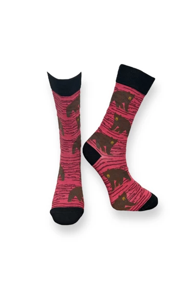 Me-vo 2'li Bordo - Mavi Renkli Unisex Esnek Nem Alabilen Pamuklu Hayvan Desenli Soket Çoraplar - Resim 5