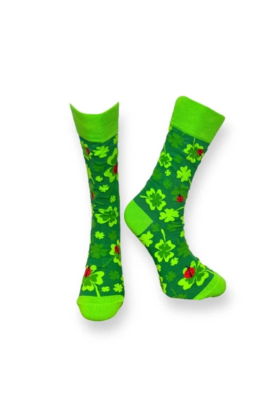 Me-vo 2'li Çok Renkli Unisex Esnek Nem Alabilen Pamuklu Uğur Böceği Ve Arı Desenli Soket Çoraplar - Resim 2