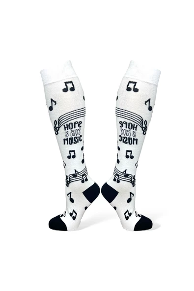 Me-vo 4'lü Karışık Renkli Uzun Unisex Esnek Nem Alabilen Pamuklu Çok Desenli Dizüstü Çoraplar - Resim 2