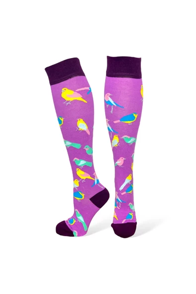 Me-vo Tekli Mor Renkli  Uzun Unisex Esnek Nem Alabilen Pamuklu Kuş Desenli Dizüstü Çorap - Resim 2