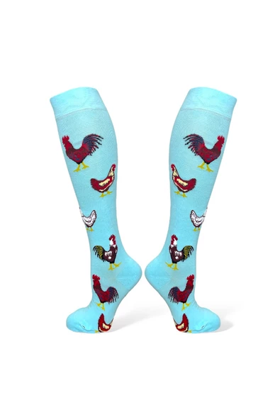 Me-vo 4'lü Karışık Renkli Uzun Unisex Esnek Nem Alabilen Pamuklu Çok Desenli Dizüstü Çoraplar - Resim 3