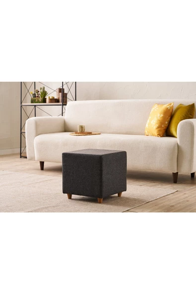 Evdebiz Olimpos Puf Arz Füme