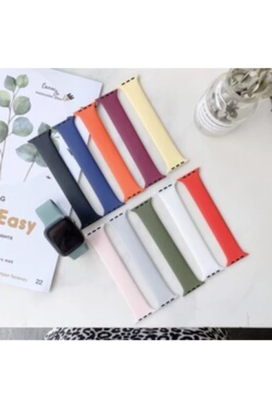 CEPCASE    Watch 38mm Kordon 14.4 Cm Medium Mat Pürüzsüz Silikon Kordon Tek Parça 10 Renk - 3