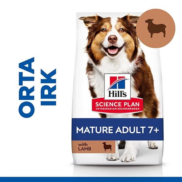 Hills Kuzu Etli Yaşlı Köpek Maması 14 kg