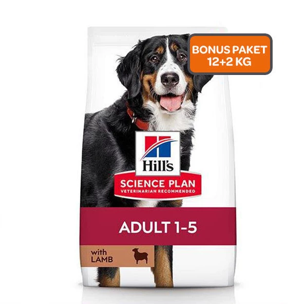 Hills Büyük Irk Kuzulu Köpek Maması 14 KG