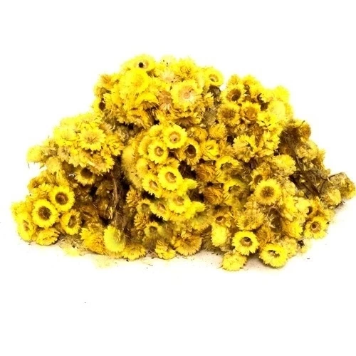 Altın Otu (Altınotu) Solidago virgaurea 100 gr, Derya Eren - 2