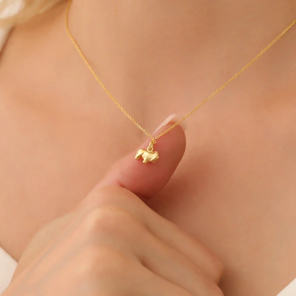 925Ayar Gümüş Minimal Aslan Figürlü Kolye ürün görseli 1