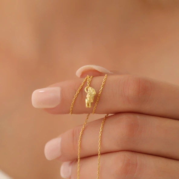 925Ayar Gümüş Minimal Aslan Figürlü Kolye - Resim 4