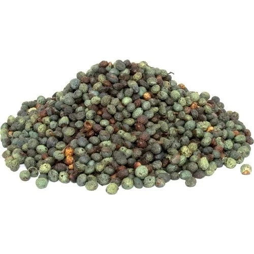 Menengiç (Çitlenbik,Çıtlık,Çedene,Bıttım) Tane 100 gr, Derya Eren