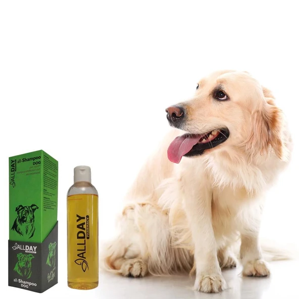 Allday All-Shampoo Cat Dog Hindistan Cevizli Köpek Şampuan 250 Ml - Resim 2