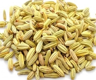 Rezene (Foeniculum vulgare) 500 gr, Derya Eren - 2
