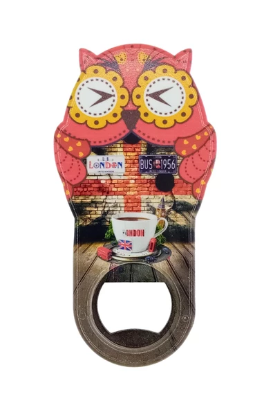 İngiltere Temalı Baykuş Magnet Kapak Açacak - Resim 3