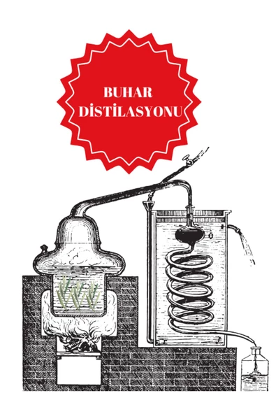 Esqulent Tıbbi Biberiye Uçucu Yağı 1 Kg - 2