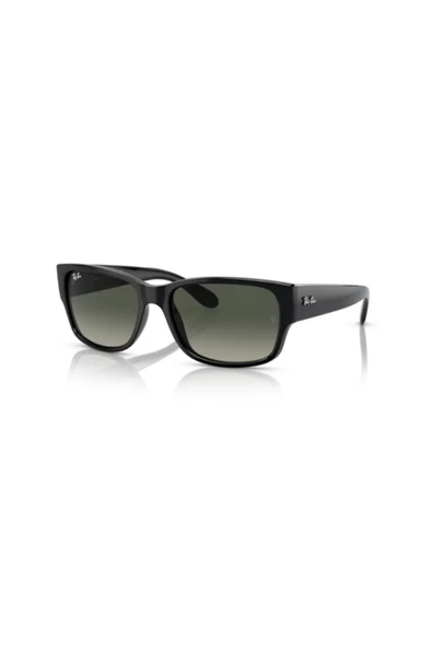 Ray-Ban    Rayban Mod.4388 C.601/71 Erkek Güneş Gözlüğü