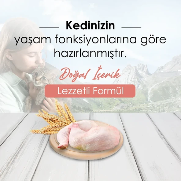 Mercy Tavuklu Yavru Kedi Maması 10 Kg - 2