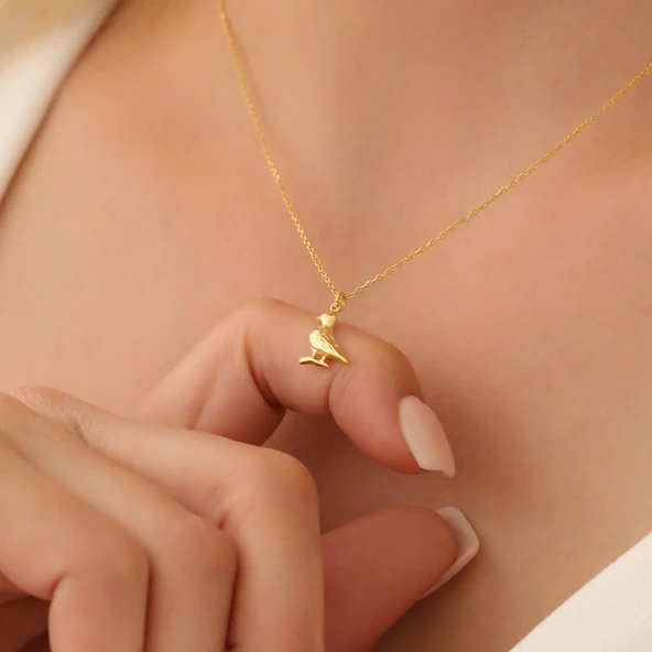 925 Ayar Gümüş Ördek kolye ürün görseli 1