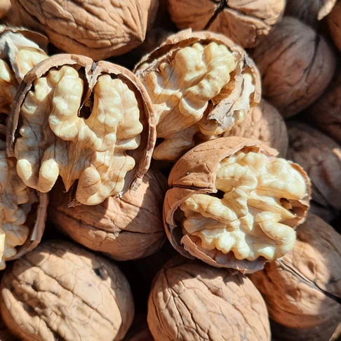 Turhal Ceviz İçi (1000 gr) - 3