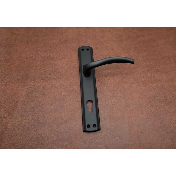 Trim Mat Siyah Aynalı Daire Giriş Çelik Kapı Kolu Sağ Basar Tek Yön - Resim 4