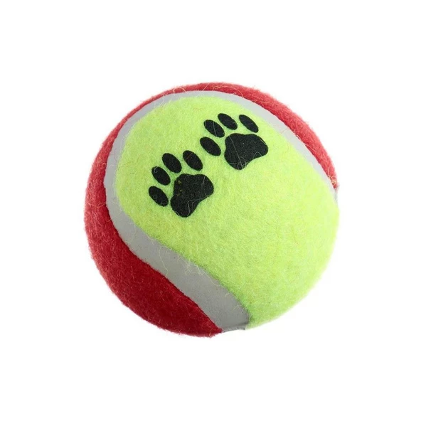 Petinka Tenis Topu Üçlü Renkli Desenli Kedi Köpek Oyuncağı - 2