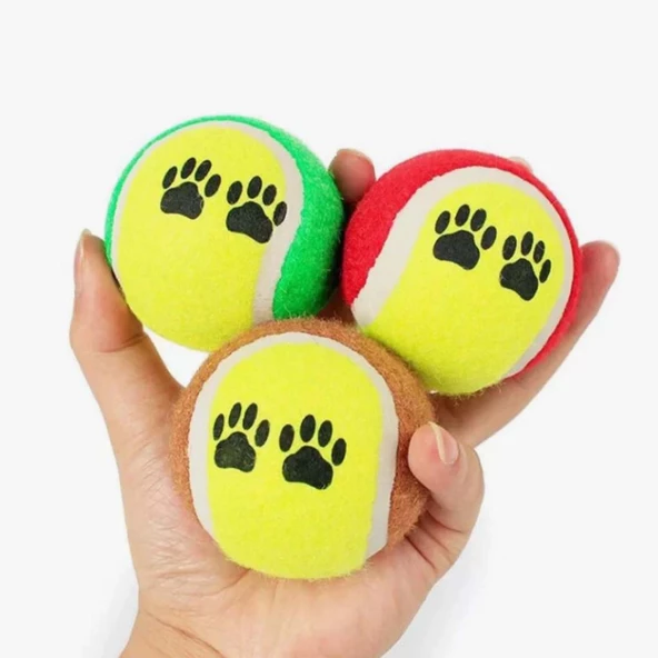 Petinka Tenis Topu Üçlü Renkli Desenli Kedi Köpek Oyuncağı - 6