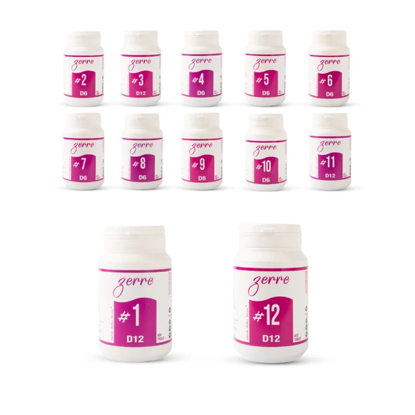 TAKVİYEGİLLER,Zerre Doku Tuzu (Schüssler Tuzları) 1-12 400'lük Ekonomik Set