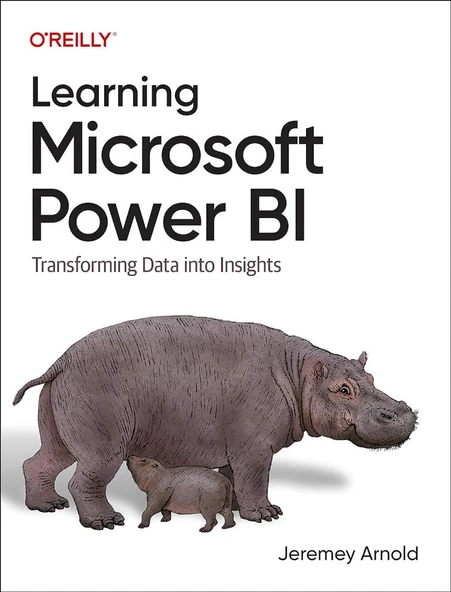 Learning Microsoft Power BI: Transforming Data into Insights Jeremey Arnold ürün görseli