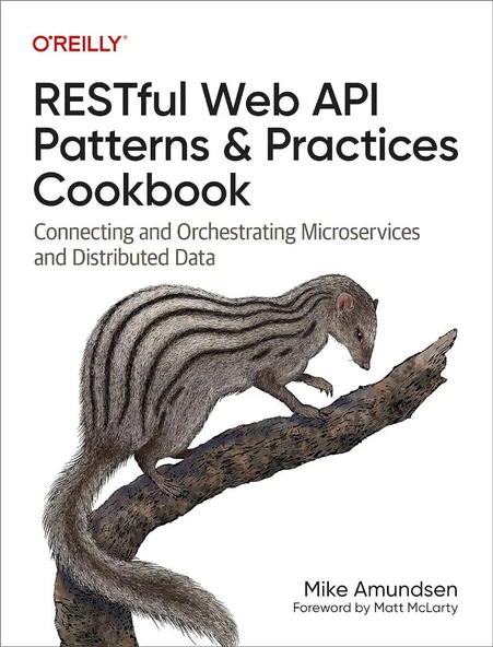 RESTful Web API Patterns and Practices Cookbook: Connecting and Orchestrating Microservices and Distributed Data Mike Amundsen ürün görseli