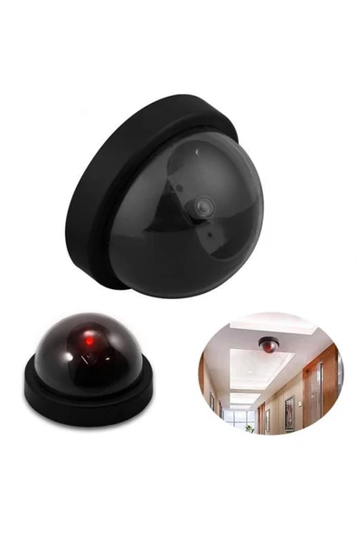 Sahte Sahte Güvenlik Kamerası - Resim 2