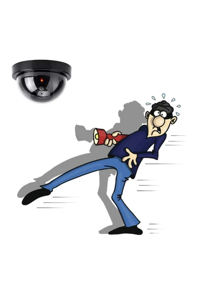 Hırsız Caydırıcı Taklit Güvenlik Kamerası Led Işıklı - Resim 2