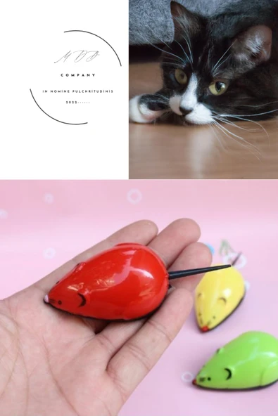 KEDİ OYUNCAĞI ÇEK BIRAK ŞEKİL RENKLİ FARE ürün görseli 1