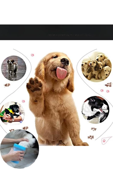 KÖPEK PATİ YIKAMA APARATI - 2