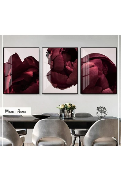 Tablomtr Metal Çerçeveli Gerçek Camlı Tablo Aracn 3 Lü Set