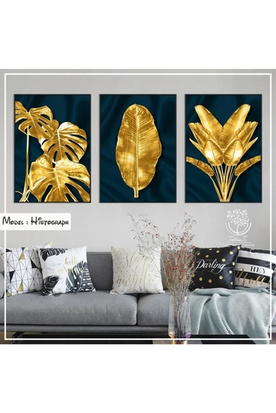 Tablomtr Metal Çerçeveli Gerçek Camlı Tablo Histograph 3 Lü Set