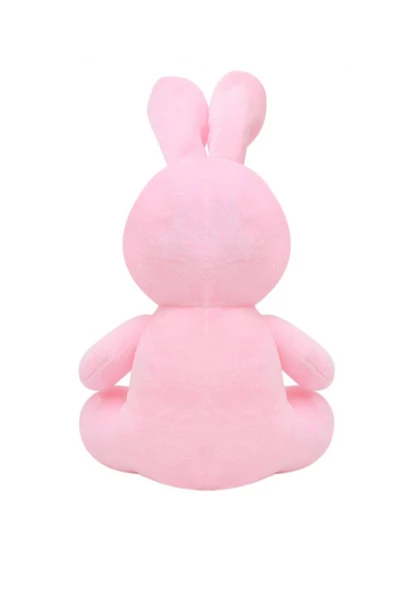 Miniş Kalpleri Fethedecek: 20 cm Peluş Tavşan - 4