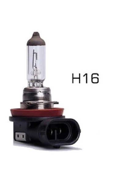 Premium 12v H16 Ampul 19w