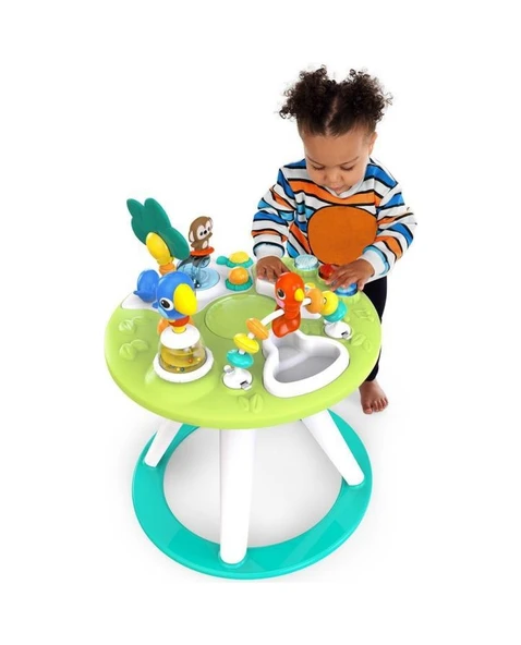 Bright Starts Around We Go 2 Si 1 Gezintili Aktivite Merkezi Ve M