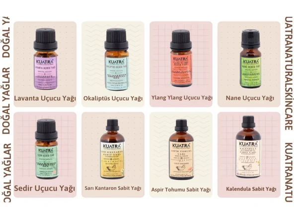 Kuatra Sarı Kantaron Sabit Yağı 100ml - Resim 5