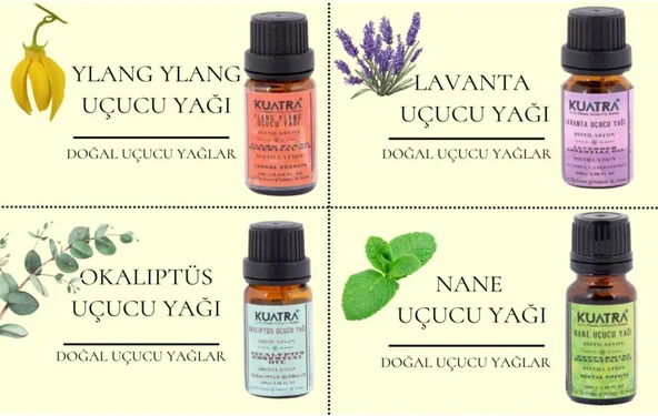 Kuatra Ökaliptüs Uçucu Yağı 10ml - Resim 7
