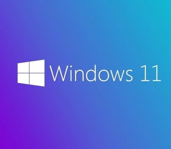 MS WINDOWS 11 PRO 64 BIT TURKCE OEM FQC-10556