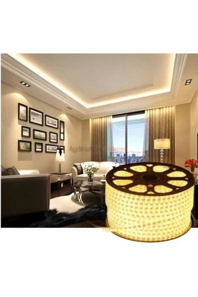 İsra 25 Metre Günışığı 3 Çipli Şerit Led Işık Hortum Led Aydınlatma Dış Mekan Su Geçirmez Hortum - 3