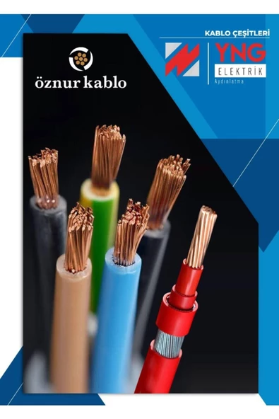 ÖZNUR 2,5 Mm Nya Kablo 100 Mt (renk Bildiriniz Mutlaka ) - 2